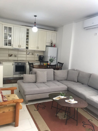 apartament-11-me-qera-tek-kopshti-zooligjik-id-b210645-tirane-big-1