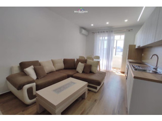 Apartament Me Qera 2+1 Ne Rrugen Kongresi I Manastirit (ID B221202) Tirane.