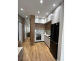 apartament-me-qera-11-tek-rruga-e-kavajes-id-b210653-tirane-small-1