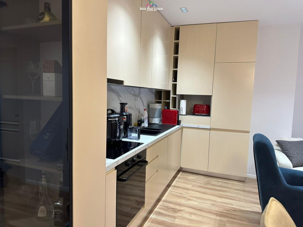 apartament-per-shitje-11-tek-rruga-mine-peza-id-b110299-tirane-big-1