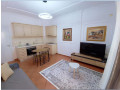 apartament-me-qera-11-prane-liqenit-artificial-id-b210658-tirane-small-1