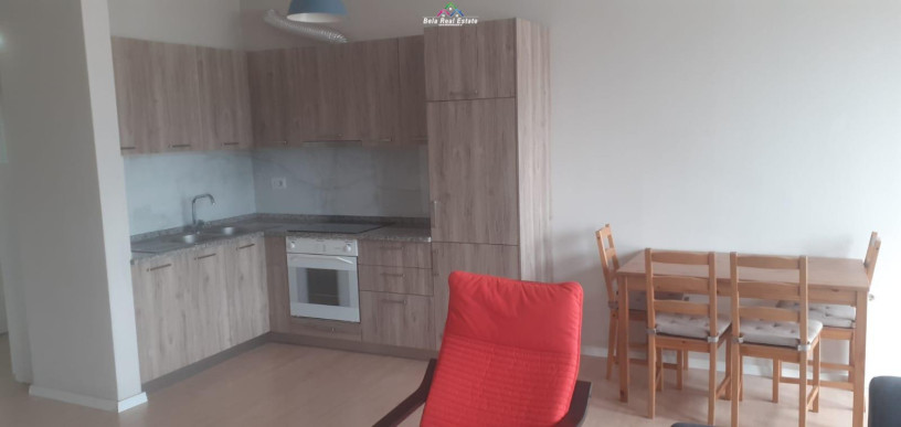 apartament-me-qera-11-tek-tregu-i-ri-elektrik-id-b210661-tirane-big-1