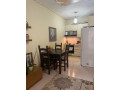 apartament-me-qera-11-ne-fresk-id-b210666-tirane-small-1