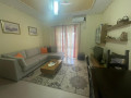 apartament-me-qera-11-ne-fresk-id-b210666-tirane-small-0