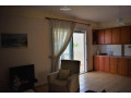 jepet-me-qera-apartament-11-tek-marteniteti-i-ri-id-b210268-tirane-small-3