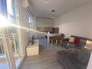 Apartament Me Qera 1+1 Ne Ali Demi (ID B210679) Tirane.