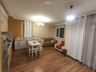 Apartament Me Qera 2+1 Tek 21 Dhjetori (ID B220830) Tirane.