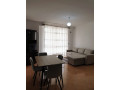 apartament-me-qera-21-ne-yzberisht-id-b220842-tirane-small-0