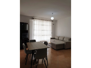 Apartament Me Qera 2+1 Ne Yzberisht (ID B220842) Tirane