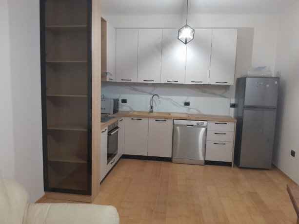 kat-vile-me-qera-312-post-parkimi-tek-liqeni-i-thate-id-bv22240-tirane-big-0