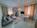 jepet-me-qera-apartament-11-tek-liqeni-artificial-id-b210135-tirane-small-0