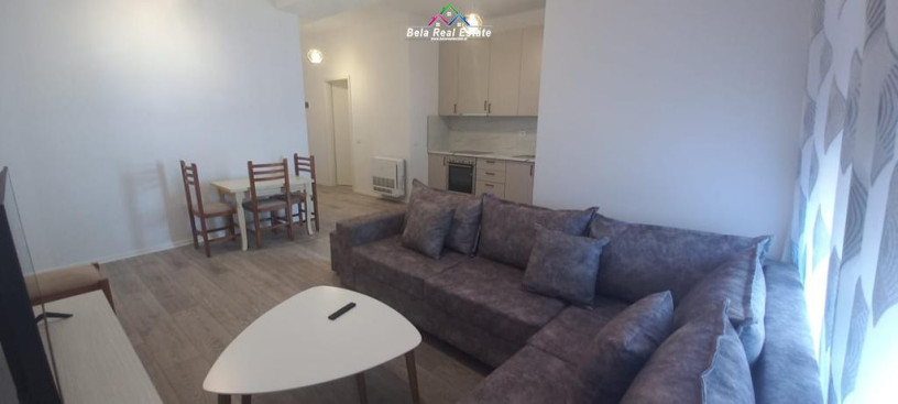 apartament-21post-parkimi-me-qera-tek-ali-demi-id-b220589-tirane-big-0