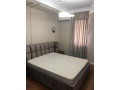 apartament-me-qera-21-tek-rruga-e-kavajes-id-b220861-tirane-small-2