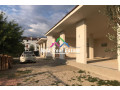 jepen-me-qera-magazina-ne-domje-id-bm67-tirane-small-1