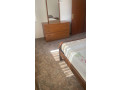 kat-vile-me-qera-11-ne-selite-id-bv22252-tirane-small-2