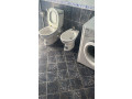 kat-vile-me-qera-11-ne-selite-id-bv22252-tirane-small-1