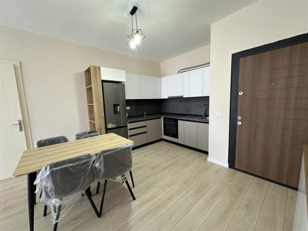 apartament-me-qera-21-ish-fusha-e-aviacionit-id-b220887-tirane-big-1