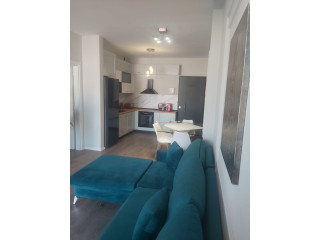 Apartament Me Qera 1+1 Rruga e Kavajes (ID B210757) Tirane