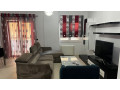 apartament-me-qera-21-tek-sheshi-willson-id-b220903-tirane-small-0