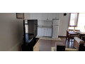 apartament-21-me-qera-tek-liqeni-i-thate-id-b220905-small-1