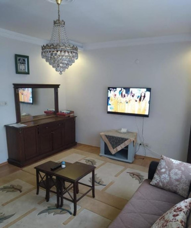 apartament-me-qera-21-ne-rrugen-e-elbasanit-id-b221229-tirane-big-0