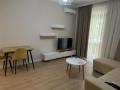 apartament-me-qera-11-tek-liqeni-i-thate-id-b210758-tirane-small-0