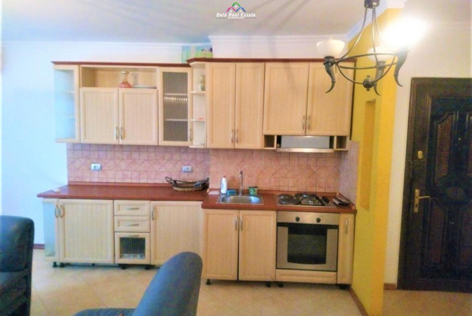 apartament-me-qera-21-ne-qender-id-b220918-tirane-big-1