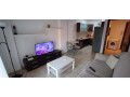 apartament-me-qera-11-prane-mozaikut-te-tiranes-id-b210773-tirane-small-0