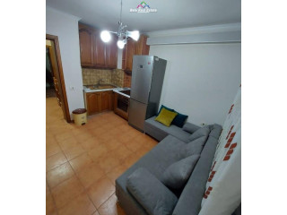 Apartament Me Qera 1+1 Ne Rrugen e Kavajes (ID B211263) Tirane.