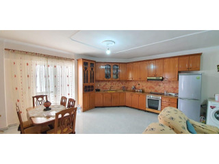 Apartament Me Qera 2+1 Ne Laprake (ID B220941) Tirane.