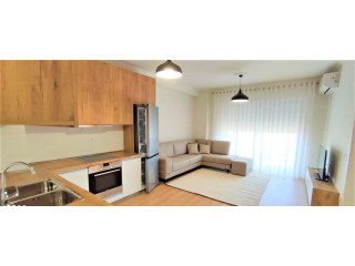 Apartament Me Qera 2+1 Tek Rruga e Elbasanit (ID B220943) Tirane.