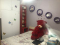 apartament-me-qera-31-ne-astir-id-b230114-tirane-small-3