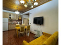 apartament-me-qera-21-ne-qender-id-b221239-tirane-small-0