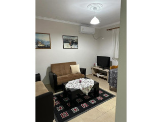 Apartament Me Qera 1+1 Tek Rruga e Durresit (ID B211272) Tirane