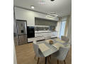 apartament-me-qera-212-tek-rruga-e-durresit-id-b220985-tirane-small-1