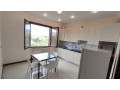 apartament-me-qera-11-ne-kinostudio-id-b210807-tirane-small-1