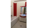 apartament-me-qera-21-ne-fresk-id-b220992-tirane-small-3