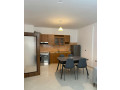 apartament-me-qera-11-tek-rruga-e-elbasanit-id-b210818-tirane-small-1