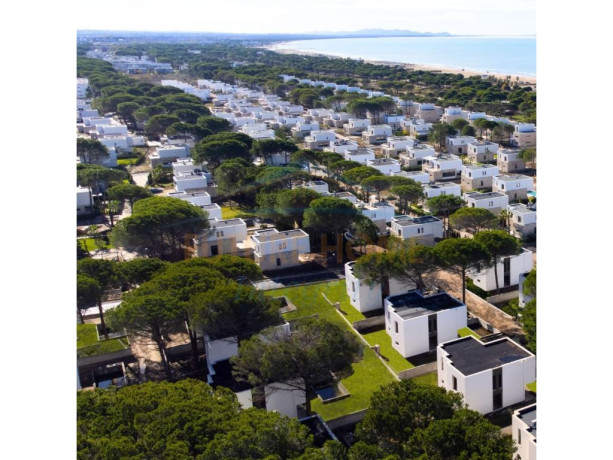 hitet-vile-dyshe-san-pietro-gjiri-i-lalzit-big-2