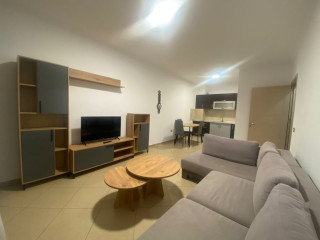 Apartament me qera 1+1 Ne Yzberisht (ID B210822) Tirane