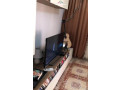 jepet-me-qera-apartament-11vend-parkimi-tek-klani-id-b210425-tirane-small-0