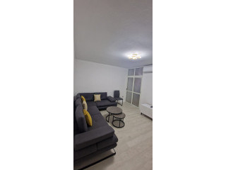 Apartament Me Qera 1+1 tek Komuna e Parisit (ID B210825) Tirane