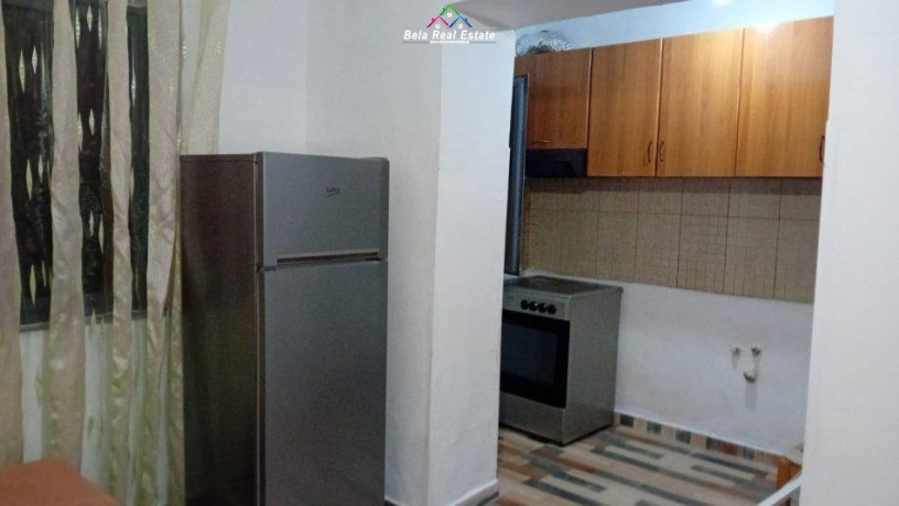 apartament-me-qera-21-prane-shkolles-se-bashkuar-id-b221250-tirane-big-0