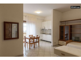 Apartament Me Qera 1+1 Tek Ish Parku (ID B210836)Tirane