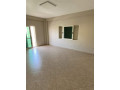 zyre-me-qera-prane-kopshtit-botanik-id-bz2155-tirane-small-2