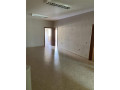 zyre-me-qera-prane-kopshtit-botanik-id-bz2155-tirane-small-0