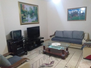 Apartament me qera 1+1 ne Fresk (ID B210844) Tirane