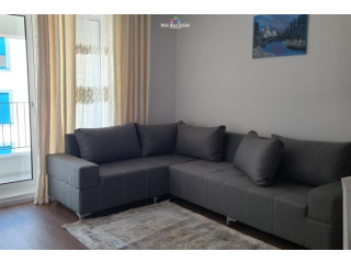 Apartament Me Qera 1+1 Tek Ali Demi (ID B210849) Tirane.