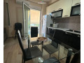 apartament-me-qera-212tek-liqeni-i-thate-id-b2201049-tirane-small-1