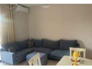 Apartament Me Qera 2+1+2 Tek Liqeni i Thate (ID B2201052) Tirane